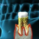 나루동물병원 이미지