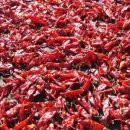 큰골농장 이미지