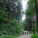 축령산 치유의 숲 안내센터 이미지