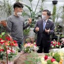온누리플라워 이미지