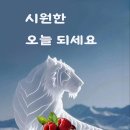 8/8,목요일-행복편지- 이미지