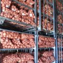 화양 농장 이미지