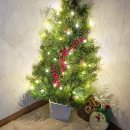 원목 전구조명 디퓨져 만들기 | 미니트리 만들기 다이소 오너먼트 장식 트리꾸미기 후기