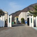 강원특별자치도 영월군 영월읍사무소 네이버블로그
