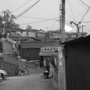 조선영상