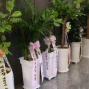 이글 스크린(실내-스크린) 이미지