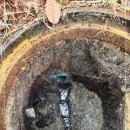 분당-365 이미지