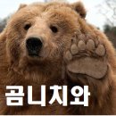 곰방와 이미지