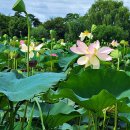 태신목장 이미지