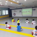 용인대 꿈누리 태권도 이미지