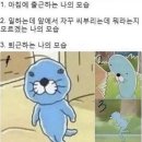코피티암 이미지