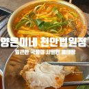 "충남 천안" 청당동 맛집 점심특선 양은냄비 동태탕 내돈내산 후기 [양은이네 천안법원점]