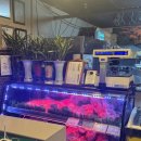 한우세상 | 맛집) 이수역 &lt;우리집 한우정육식당&gt; 내돈내산 후기 (세상에 맛있는 음식 왜케 많은건데)