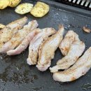 송정1호 이미지