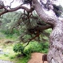 지리산신선둘레길 이미지