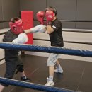 성남 탑 복싱 이미지