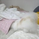 북창동 순두부 뉴코아 아울렛 일산점