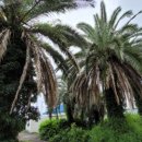 상가리농장 이미지