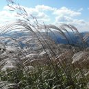 증산농산물판매장 이미지