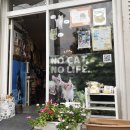 고양이 마을 이미지