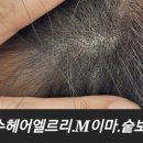특수헤어엘르리