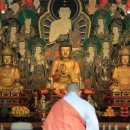 진행정사 이미지