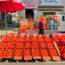 남지시장 이미지