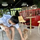 파인클라우드 이미지