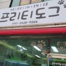 프리티 도그 이미지