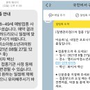 앨리소아청소년과의원 티스토리