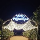 장림먹자골목분식 | 해운대 먹자골목 완전정복 해운대시장 맛집·길거리음식·야시장 분위기까지 리얼후기