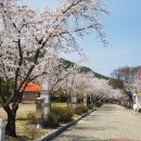 수승대모텔 이미지