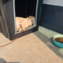 나로도주유소 이미지