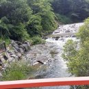 가고픈 둥지펜션 이미지