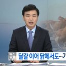 부신농장 이미지