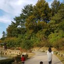 창원단감테마공원 이미지