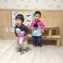 캥거루 동물병원 이미지