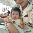 손담비 카카오 검색결과