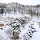 양평수목 이미지