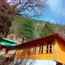 휘닉스파크관광단지 이미지