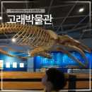 울산 장생포 고래박물관 후기, 6살 아이가 가장 좋아했던 미디어 체험존