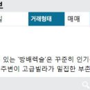 방배서래공인중개사사무소 이미지