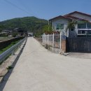 율곡천 6 Daum카페