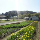 꽃초롱자연학습장 이미지