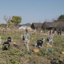 상하평화목장 이미지