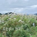 교리떡방앗간 | 일상기록 - 흐린날의 경주