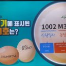 계란에 표시한 숫자 궁금했죠? 이미지