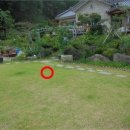 무주읍204 이미지