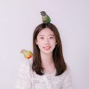 날다스튜디오