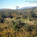 아침바다 콘도텔 이미지